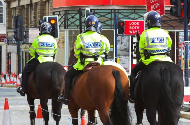 Woman in Big Trouble for Slapping Police Horse