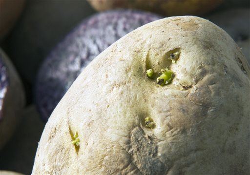 Woman Grows Potato in Vagina as Contraception