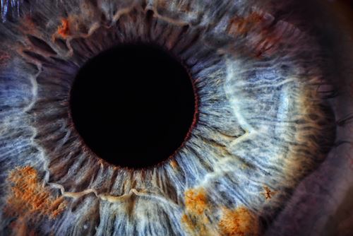 Stem Cell Blast Returns Sight to the Legally Blind