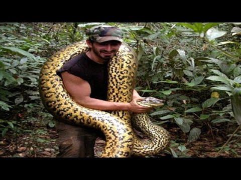 Man Says He'll Be Eaten Alive by Anaconda