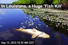 In Louisiana, a Huge 'Fish Kill'