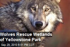 Wolves To The Rescue