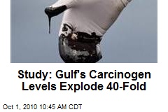 Study: Gulf's Carcinogen Levels Explode 40-Fold