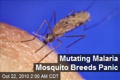 Mutating Malaria Mosquito Breeds Panic
