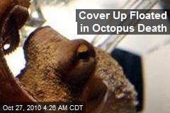 Cover Up Floated In Octopus Death