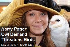 Harry Potter Owl Demand Threatens Birds
