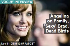 Angelina on Family, 'Sexy' Brad ... Dead Birds