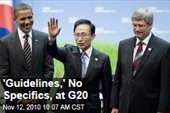 'Guidelines,' No Specifics, at G20
