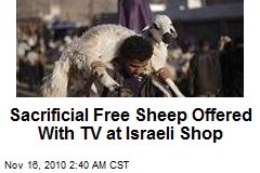 Sacrificial Free Sheep Offered With TV in Israeli Shop