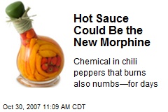 Hot Sauce Could Be the New Morphine
