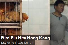 Bird Flu Hits Hong Kong