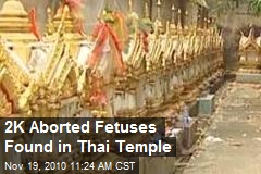 2K Aborted Fetuses Found in Thai Temple