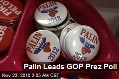 Palin Leads GOP Prez Poll