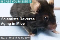 Scientists Reverse Aging in Mice