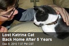 Lost Katrina Cat Back Home After 5 Years