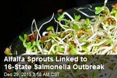 Alflalfa Sprouts Linked to 16-State Salmonella Outbreak