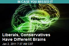 Liberals, Conservatives Have Different Brains