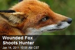 Wounded Fox Shoots Hunter