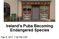 Ireland's Pubs Becoming Endangered Species