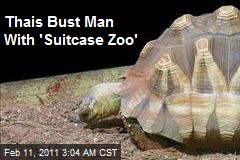 Thais Bust Man With 'Suitcase Zoo'