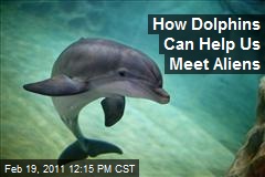How Dolphins Can Help Us Meet Aliens