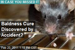 'Baldness Cure' Stuns Mouse Researchers