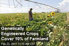 Genetically Engineered Crops Cover 10% of Farmland