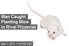 Man Caught Planting Mice in Rival Pizzerias