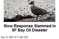 Slow Response Slammed in SF Bay Oil Disaster