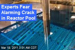 Experts Suspect Alarming Crack in Reactor Pool