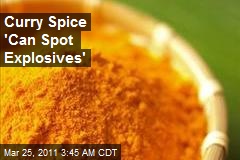 Curry Spice 'Can Spot Explosives'