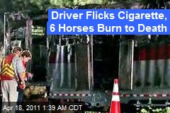 Driver Flicks Cig, 6 Horses Burn to Death