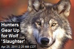 Hunters Gear Up for Wolf &#39;Slaughter&#39;