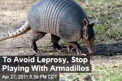 Armadillos Can Spread Leprosy to Humans