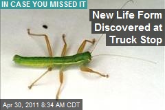 New Life Form Discovered at Truck Stop
