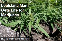 Louisianan Gets LIfe for Marijuana