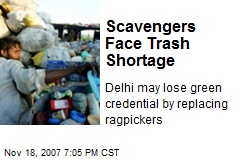 Scavengers Face Trash Shortage