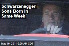 Arnold Schwarzenegger Sons Born Days Apart
