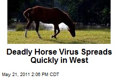 Deadly Horse Virus Spreads Quickly in West