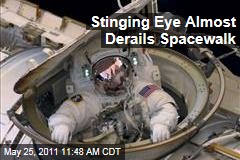 Spacewalking Astronaut Andrew Feustel Gets 'Something' in Eye