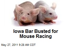 Iowa Bar Busted for Mouse Racing