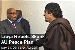 Libya Rebels Skunk AU Peace Plan