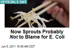 Germany: Bean Sprouts Probably Not to Blame for E. Coli Outbreak