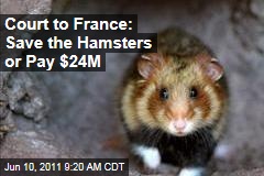 European Union Court to France: Save the Great Hamster of Alsace