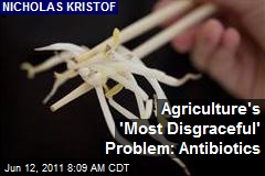 Agriculture&#39;s &#39;Most Disgraceful&#39; Problem: Antibiotics