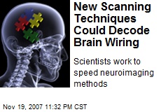 New Scanning Techniques Could Decode Brain Wiring