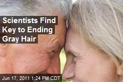 Scientists Find Key to Ending Gray Hair
