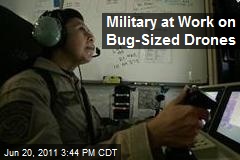 Military at Work on Bug-Sized Drones
