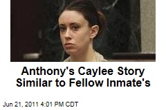Casey Anthony Trial: Prosecutors Say Fellow Inmate Had Similar Story About Child's Drowning