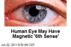 Human Eye May Have Magnetic &#39;6th Sense&#39;